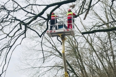 1_Foto-12.01.19-12-52-45-1