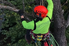 Foto-02.11.18-08-54-57-1