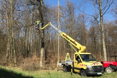 Foto-04.04.20-11-14-36