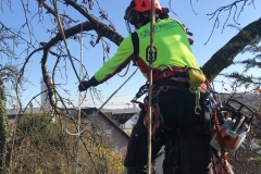 Foto-17.11.18-11-08-42