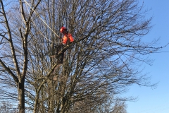 Foto-28.12.18-12-50-18