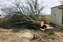 1_Foto-09.02.19-12-57-40-1