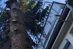 1_Foto-24.10.20-10-28-40