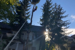 1_Foto-24.10.20-10-37-18