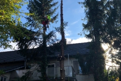 1_Foto-24.10.20-10-52-59