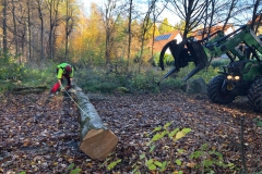 Foto-14.11.20-09-42-59