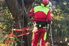 Foto-17.11.18-09-50-16