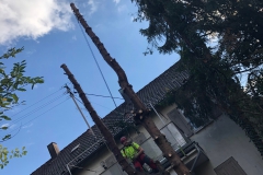 Foto-24.10.20-11-36-05