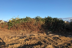 Foto-24.10.20-17-08-09