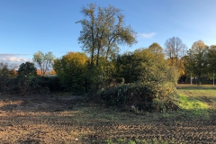 Foto-24.10.20-17-08-28