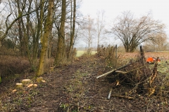 Foto-28.12.19-09-16-09