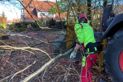 Foto-14.11.20-10-54-22